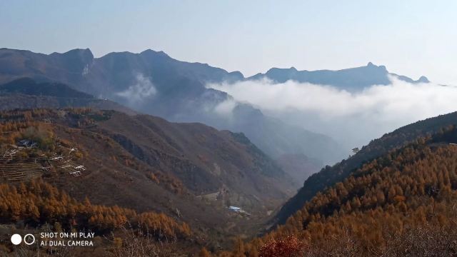 蒲洼乡花台景区