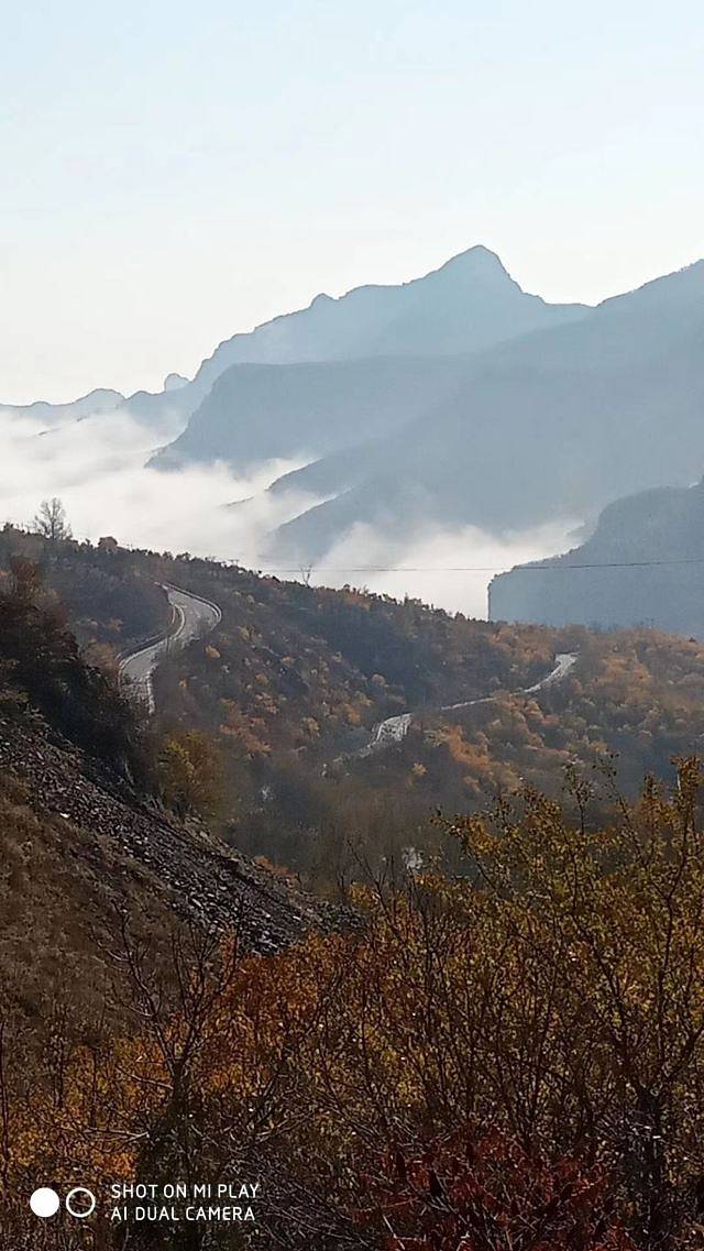 蒲洼乡花台景区